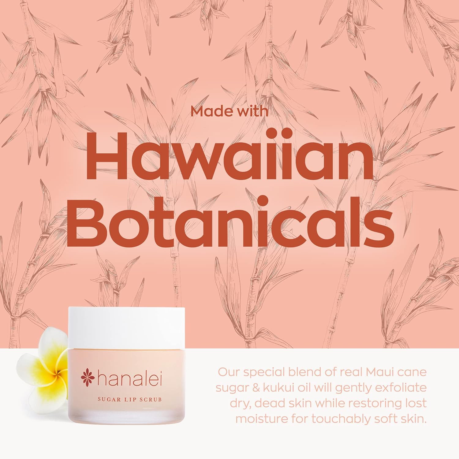 Hanalei textura de gránulos exfoliantes para labios