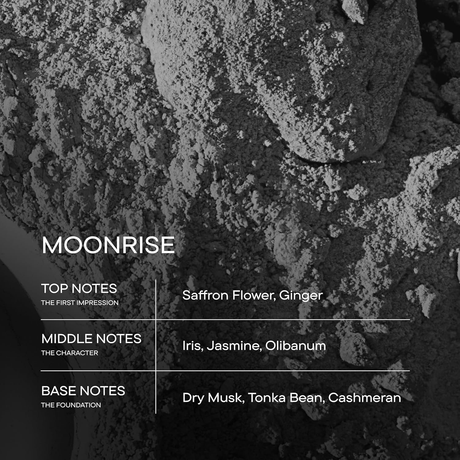 Moonrise saffron flower close-up highlights the opening note's warmth.