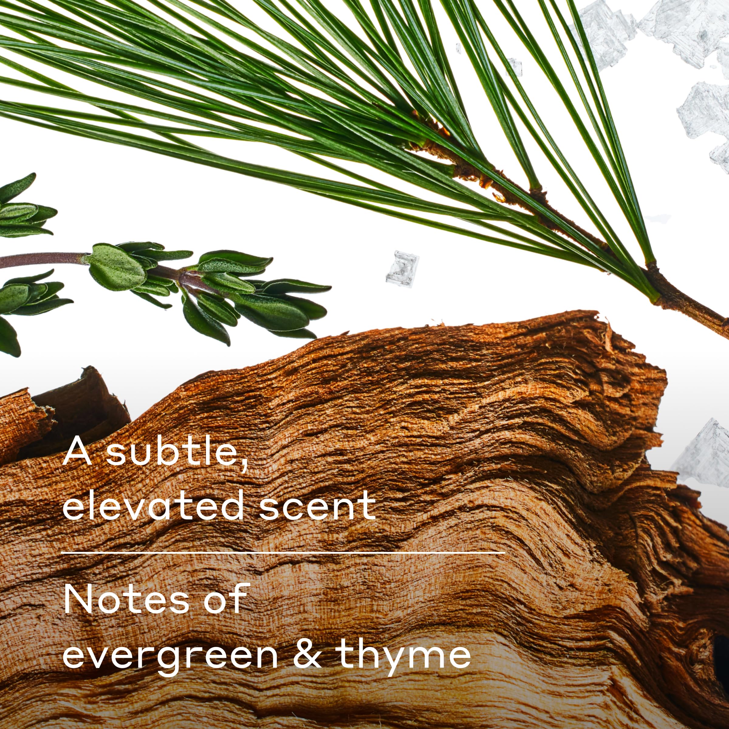 Harry's Redwood pack de 3 desodorantes listo para uso.