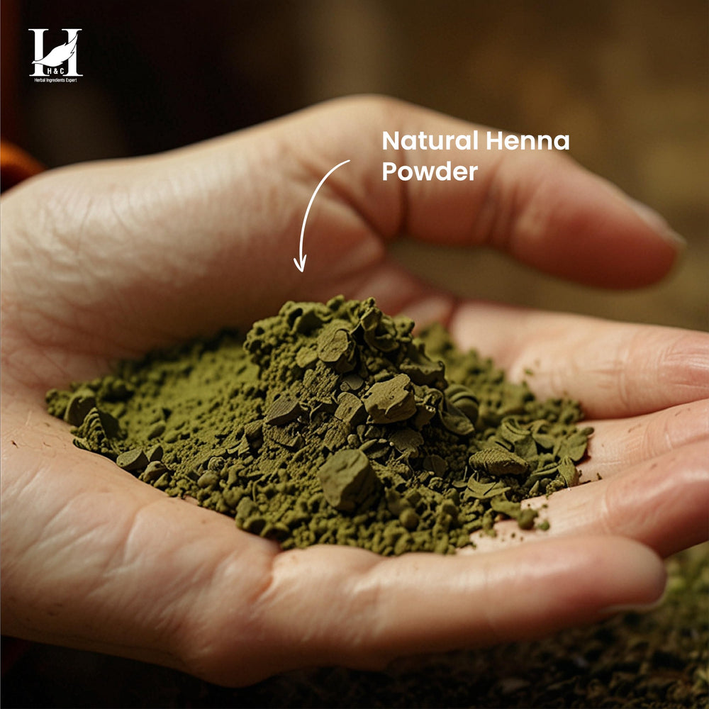 H&C henna powder delivers natural shine and conditioning to hair