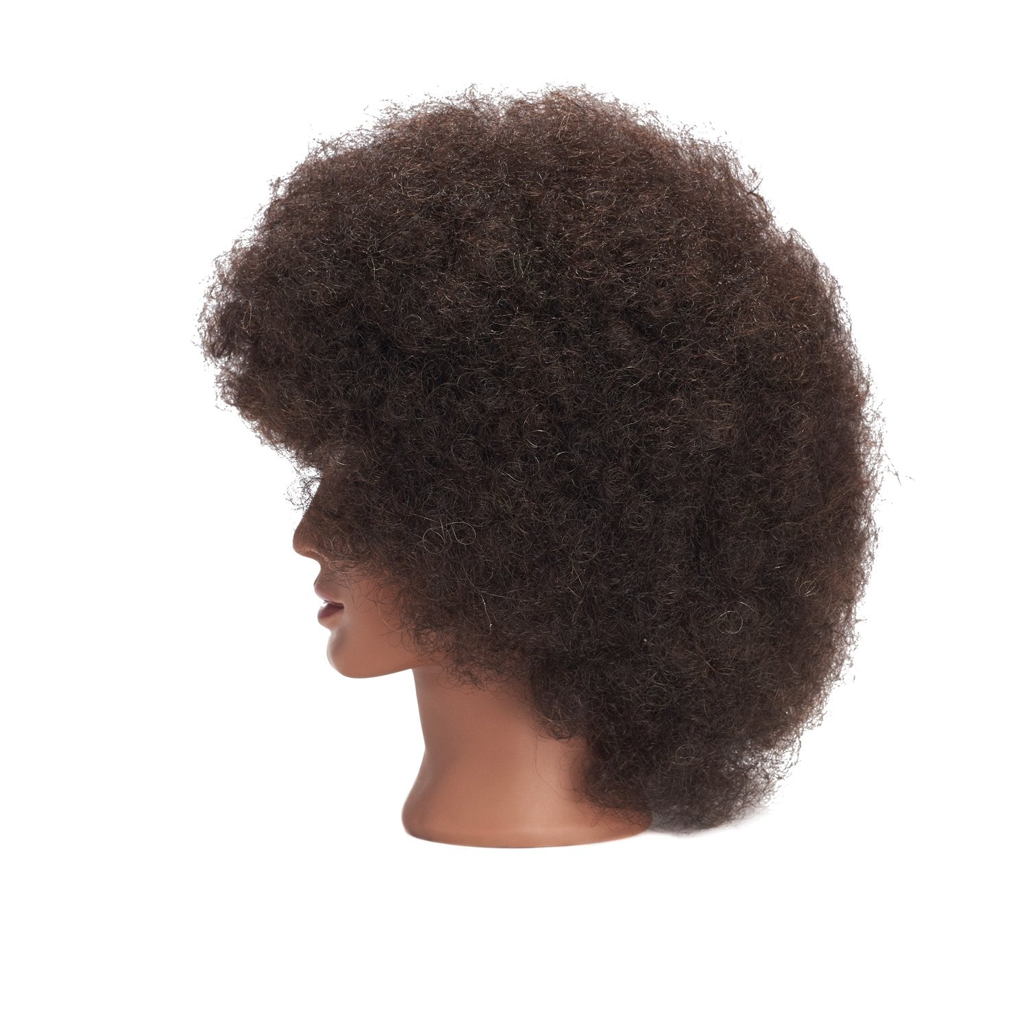 Headwinn Traininghead supports multi-use hairdressing practice