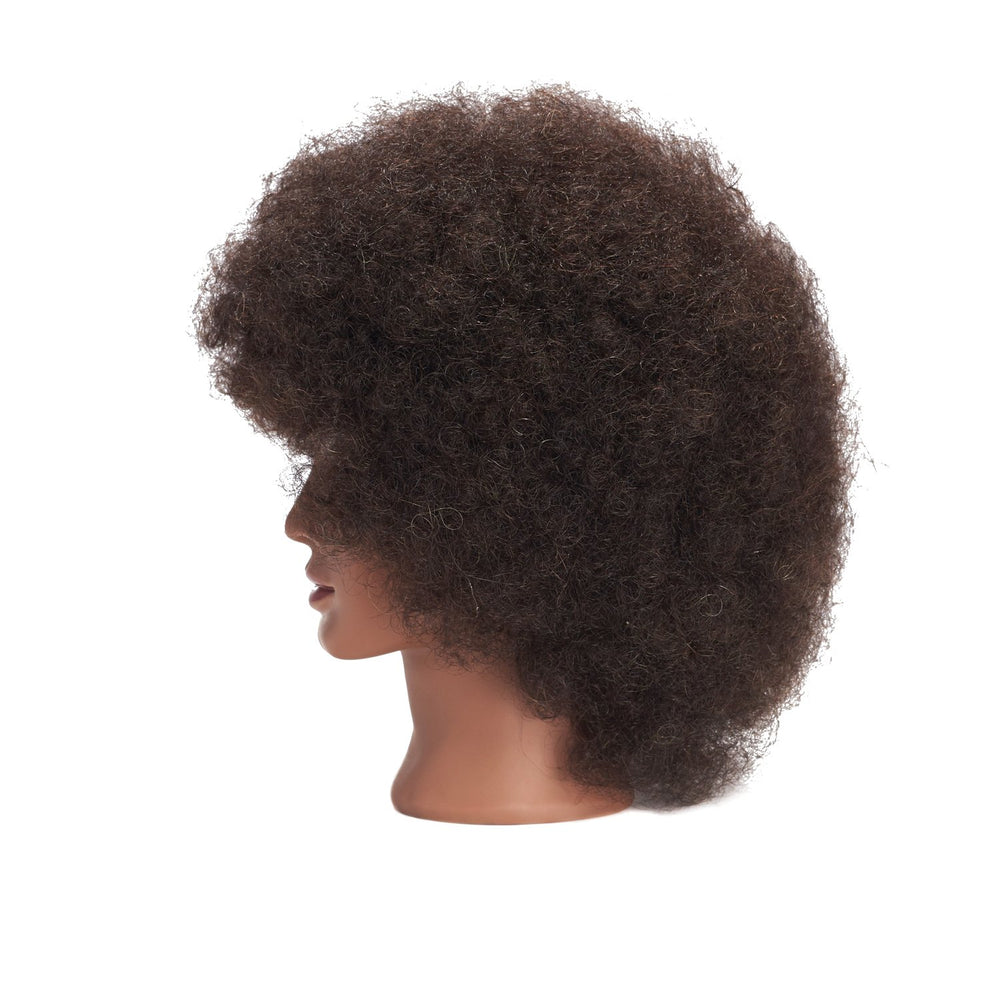 Headwinn Traininghead supports multi-use hairdressing practice