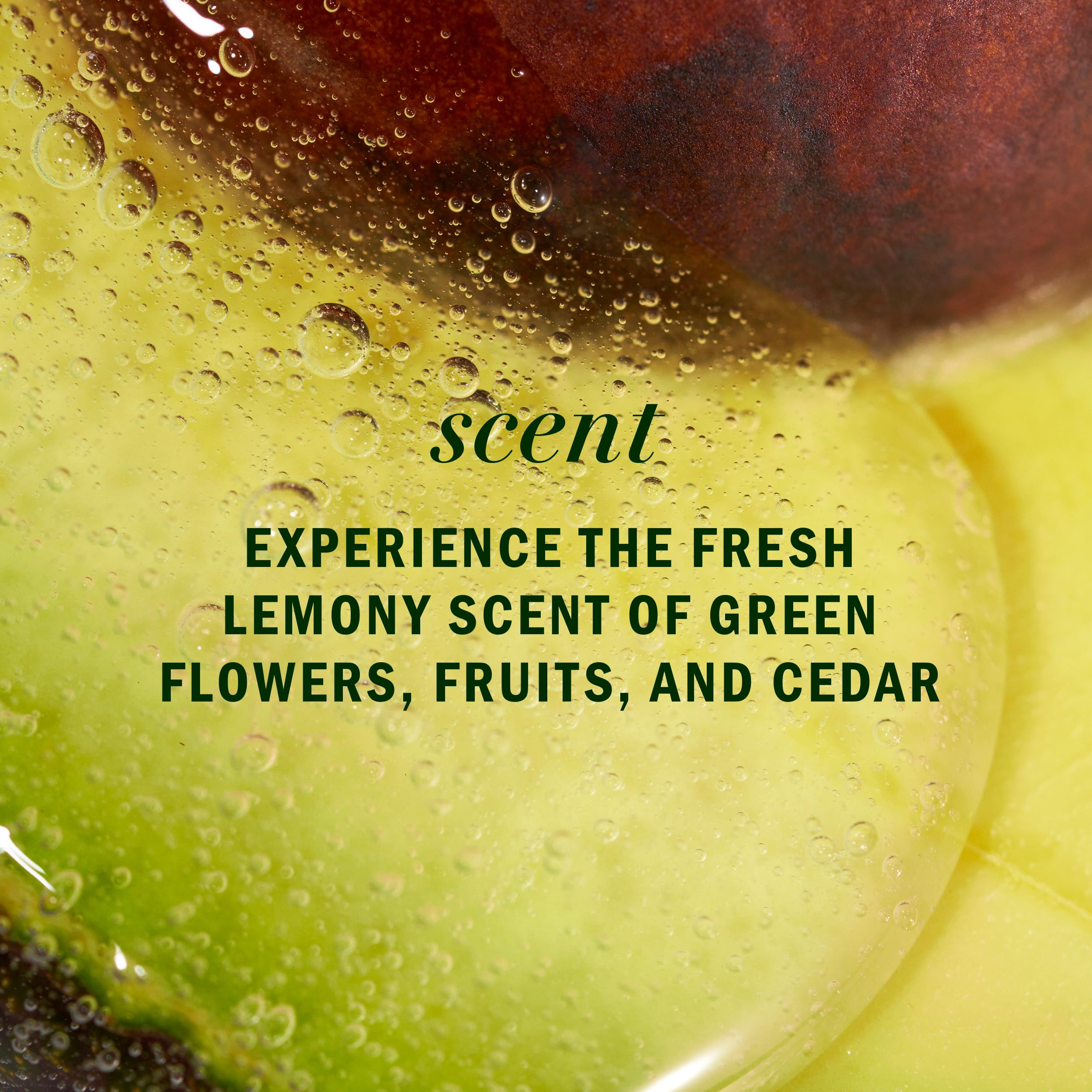 Aroma fresco con notas verdes y cítricas de Herbal Essences.