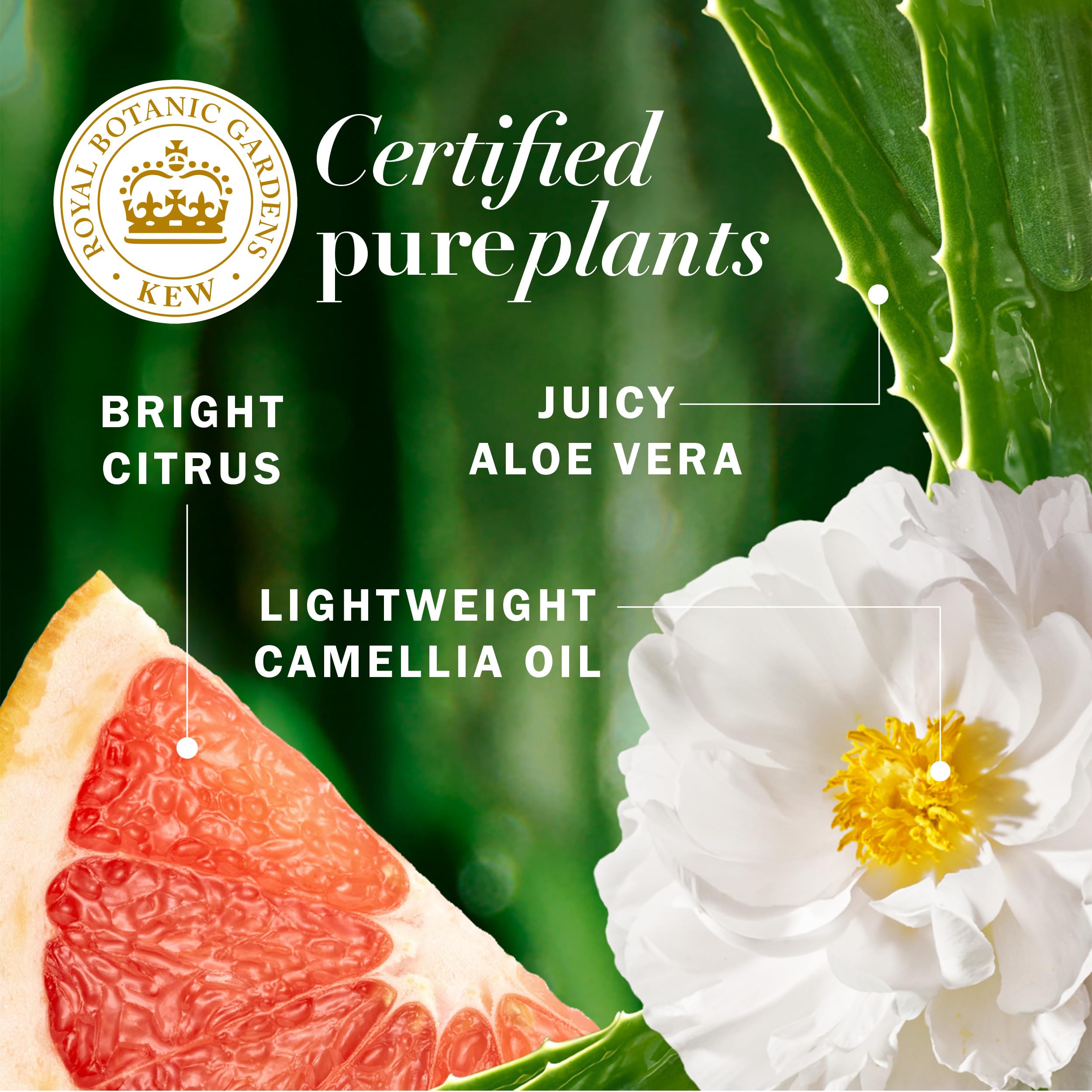 Etiqueta clara para identificar el acondicionador ligero Grapefruit