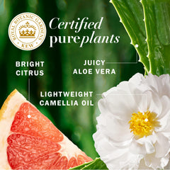 Etiqueta clara para identificar el acondicionador ligero Grapefruit