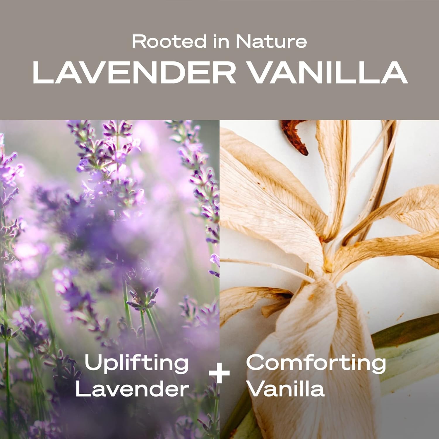 Hey Humans Desodorante Lavanda vainilla, polvo de arrurruz para absorción suave