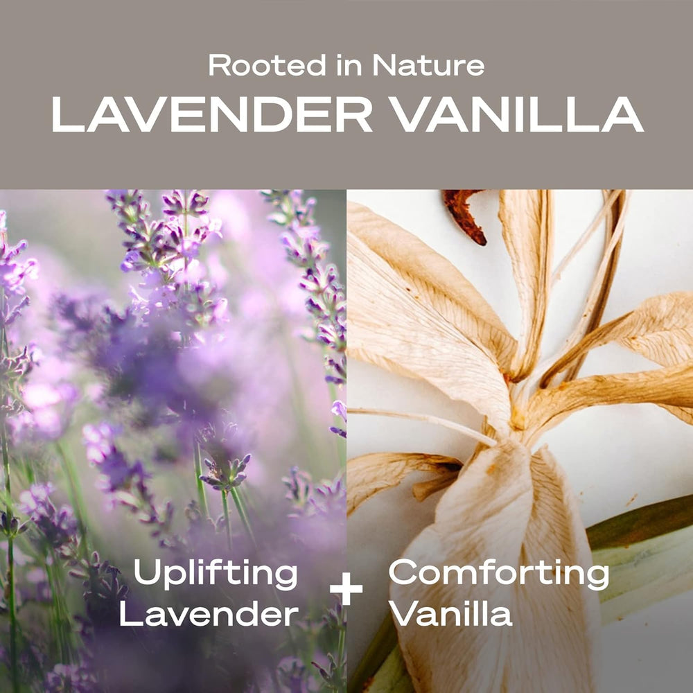 Hey Humans Desodorante Lavanda vainilla, polvo de arrurruz para absorción suave