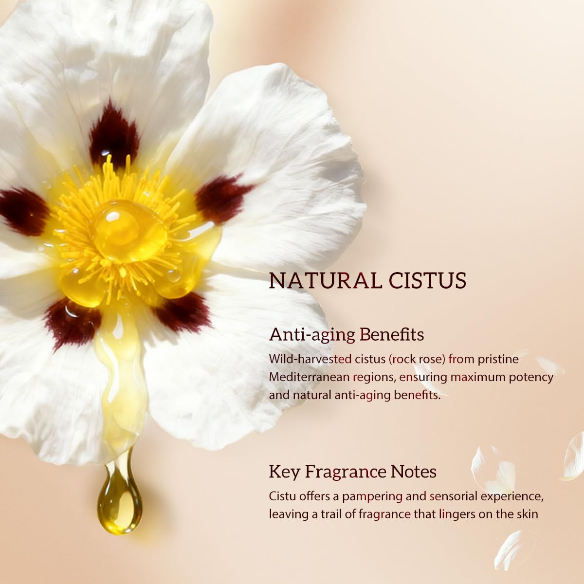 HKH Bakuchiol serum calming fragrance adds spa-like routine