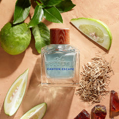 Hollister Canyon Escape label close-up highlighting notes for quick recognition.