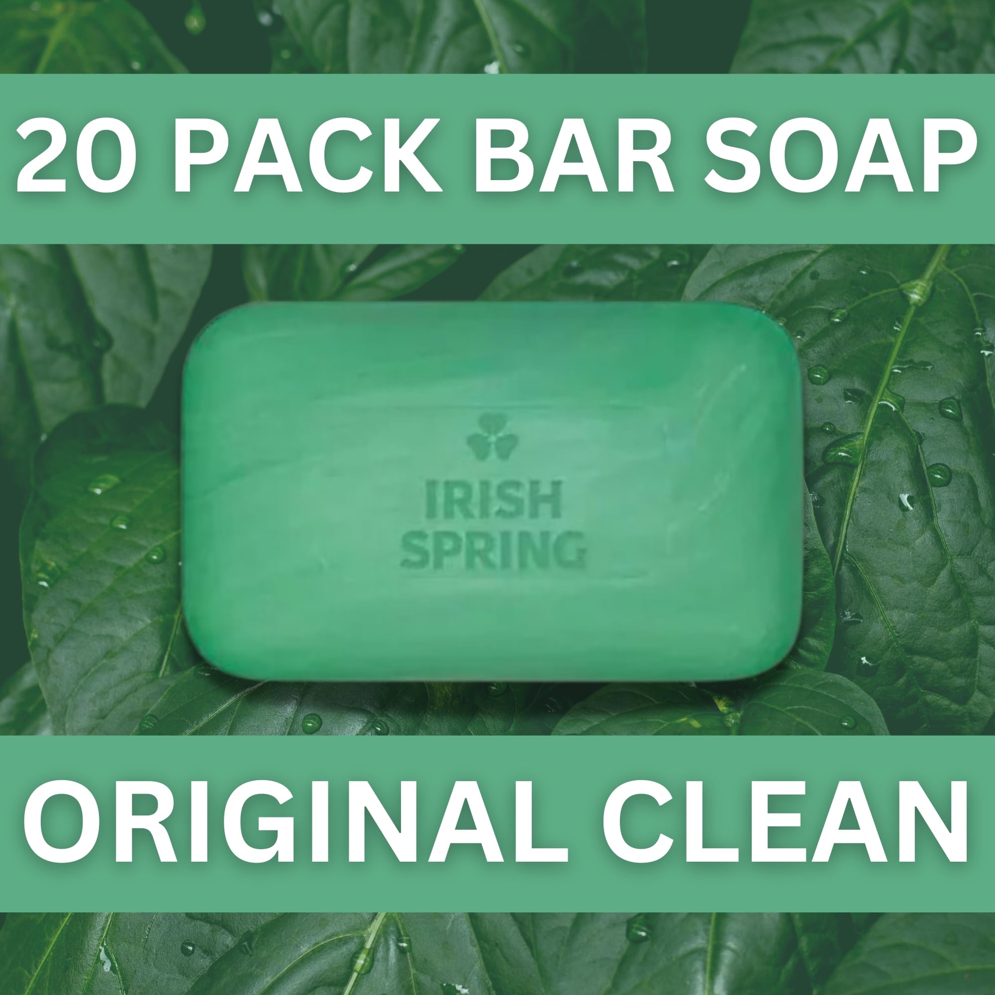 Formato práctico de Irish Spring con soporte para ducha.