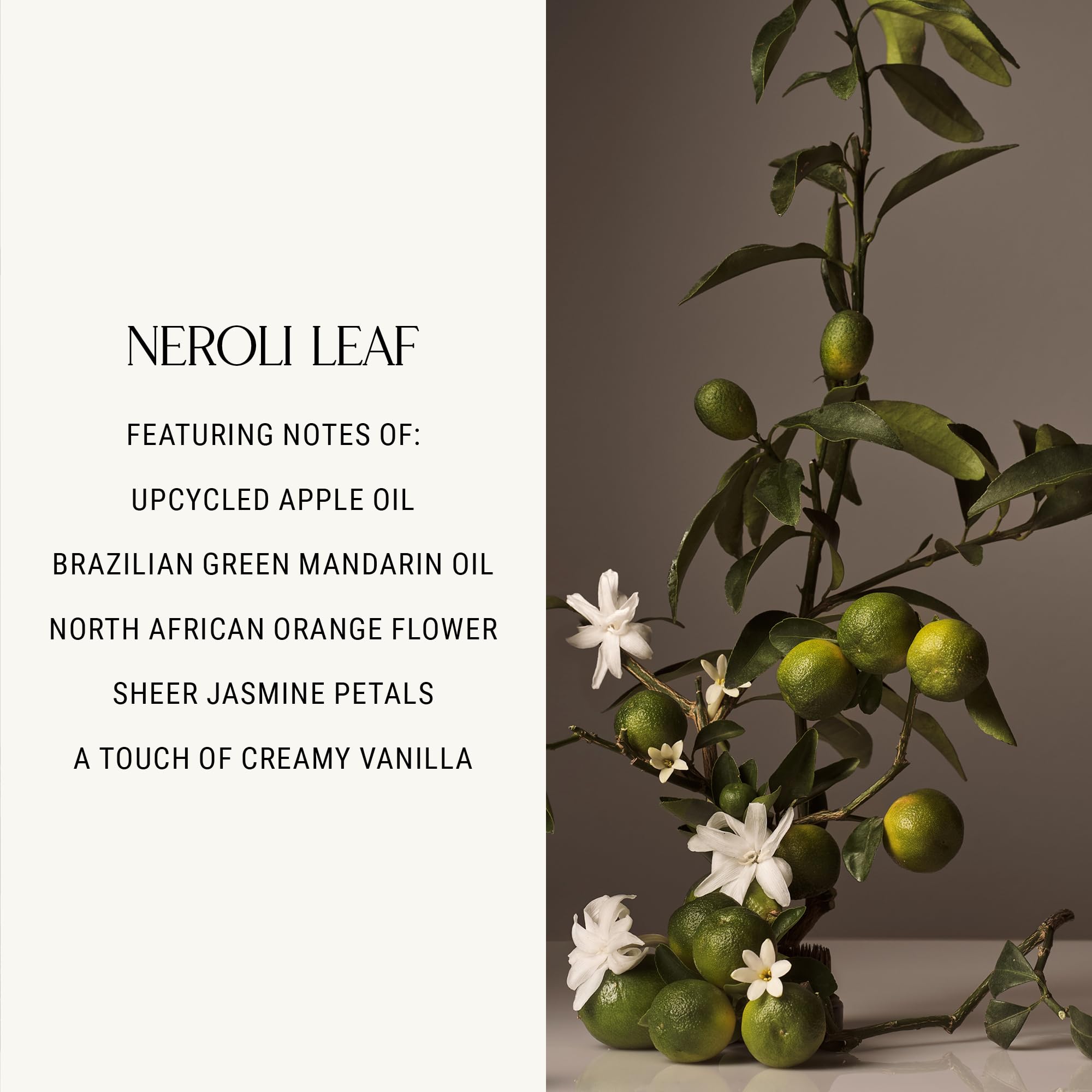 Homecourt Neroli Leaf hand wash foam creates rich lather without drying skin