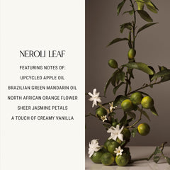 Homecourt Neroli Leaf hand wash foam creates rich lather without drying skin