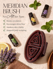 Homsoil Meridian Brush, cerdas TPU: limpieza suave con o sin agua.