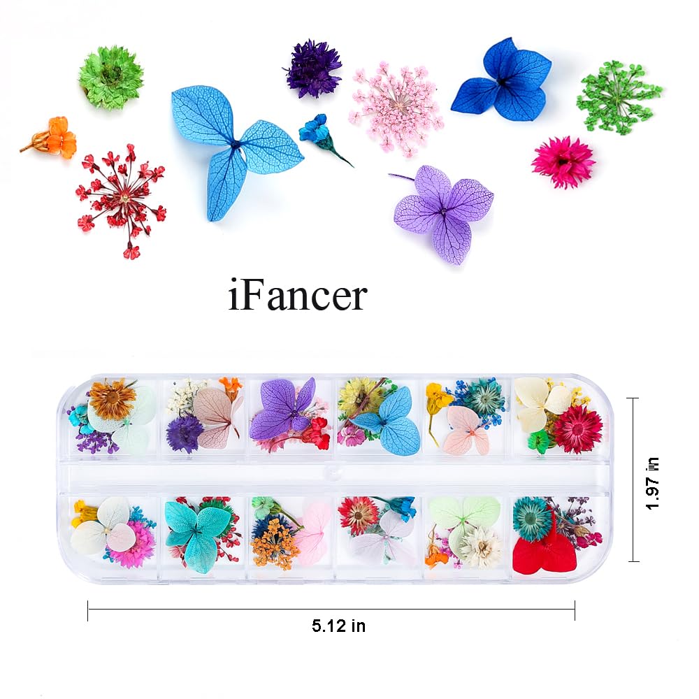 iFancer flores naturales secas, acabado realista para diseños de uñas.