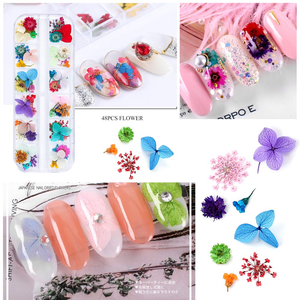 iFancer paleta de 62 tonos, flores secas para arte de uñas coloridos.