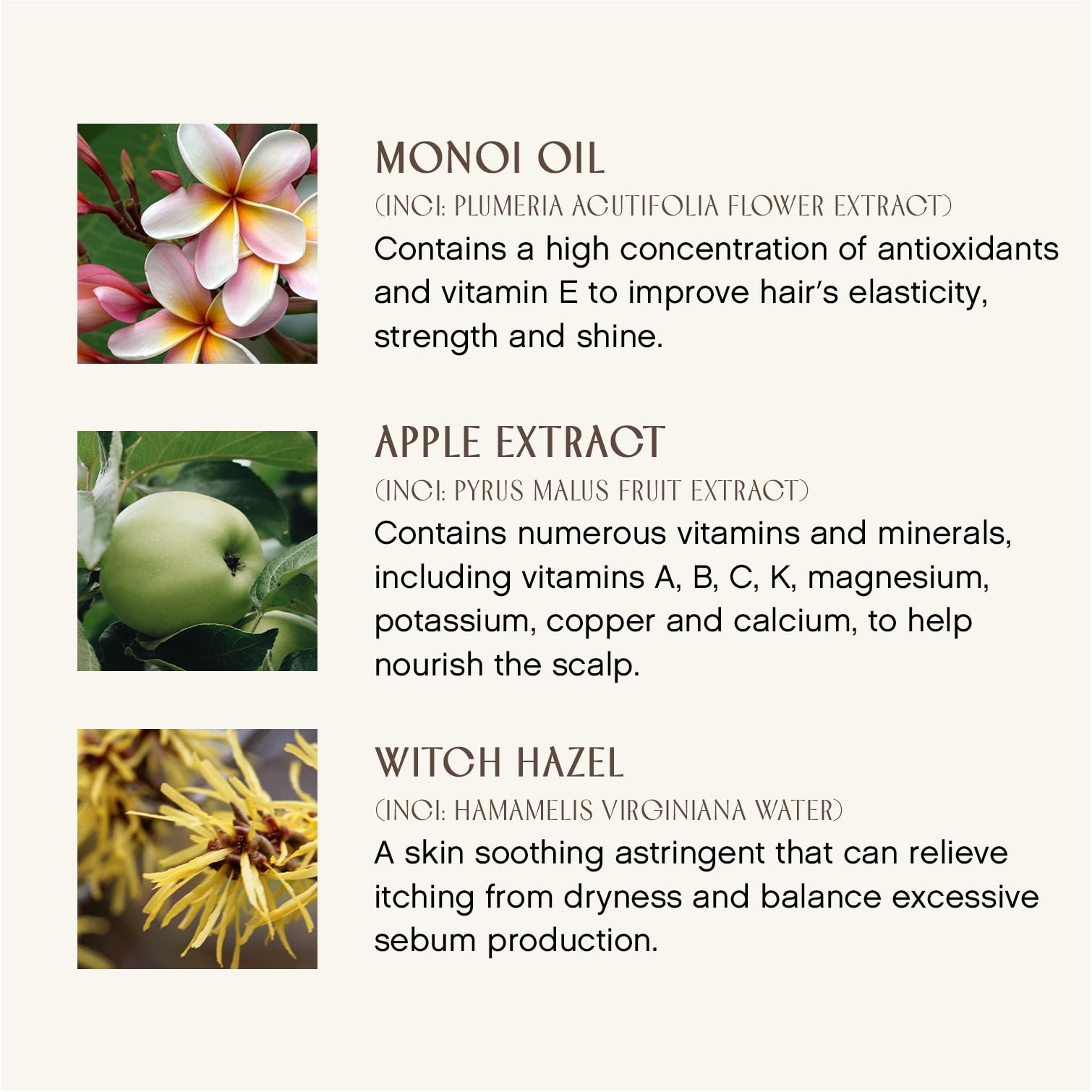 INNERSENSE Bright Balance Purple Toning Hairbath ingredients spotlight on natural extracts