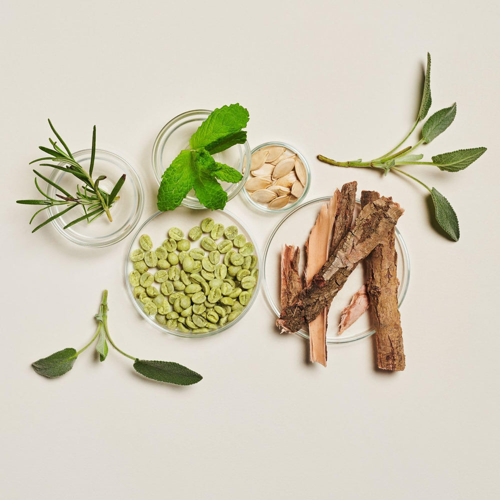 INNERSENSE Green coffee bean extract promoting scalp circulation
