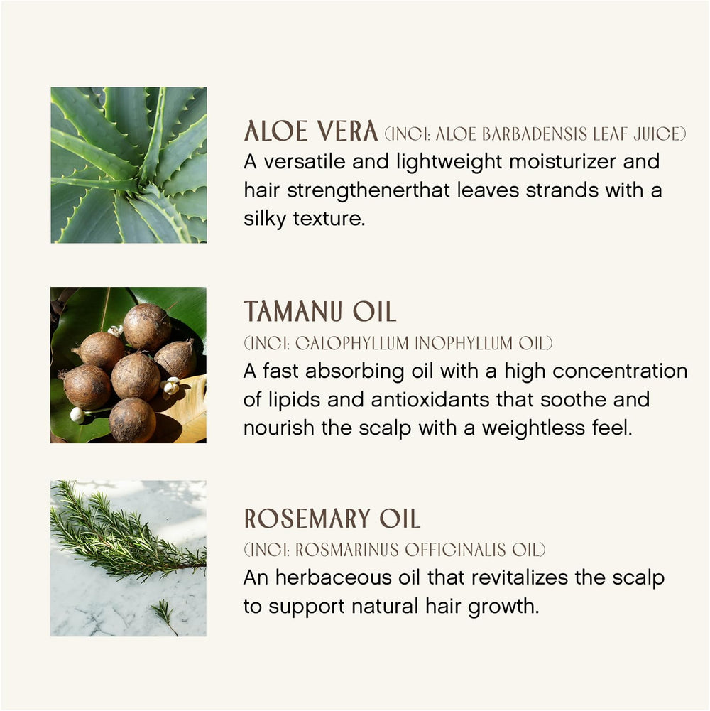 INNERSENSE Sweet Spirit Leave-In Hair Shine for manageable, lightweight results.