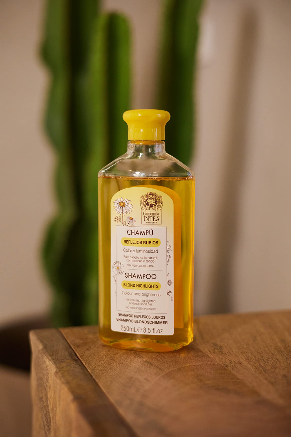 Aplicación fácil de Intea Chamomile Shampoo para uso diario sin complicaciones.