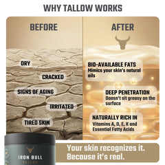 Iron Bull Tallow face jar closeup emphasizes premium, clean ingredients.