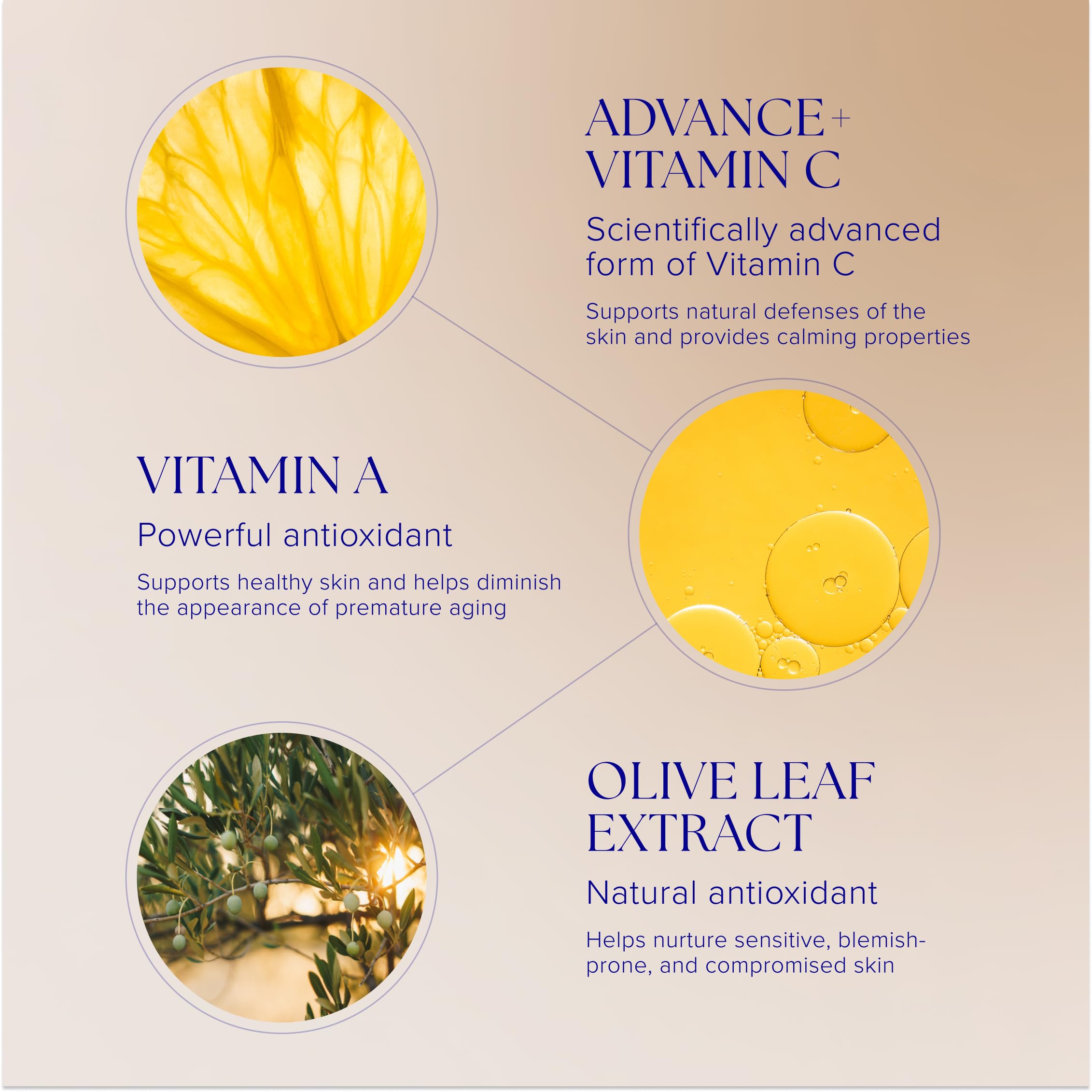 iS CLINICAL Pro-Heal Serum Advance+ olive leaf extract emphasis as antioxidant support