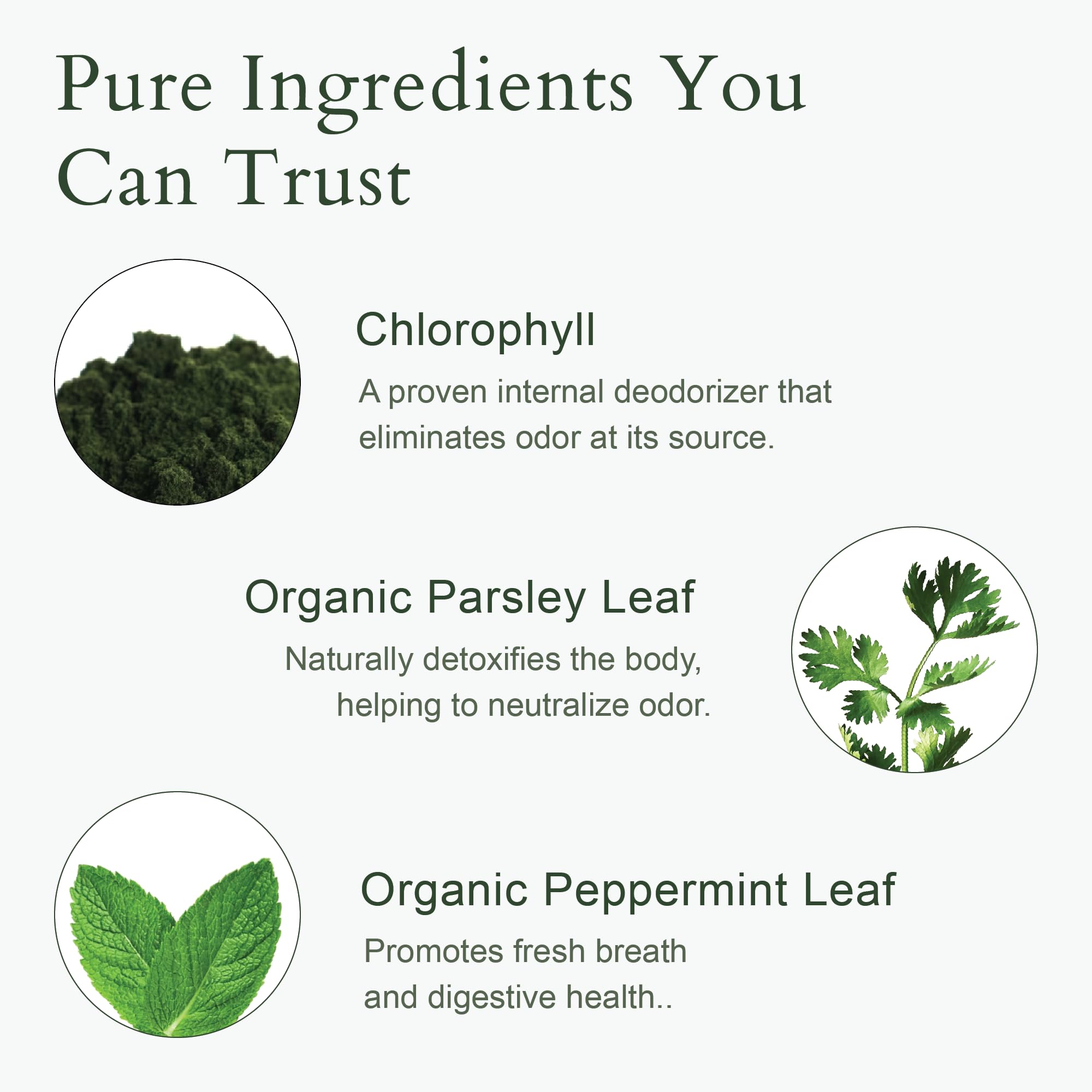 Organic peppermint ingredient from It Just Works for a fresh aroma