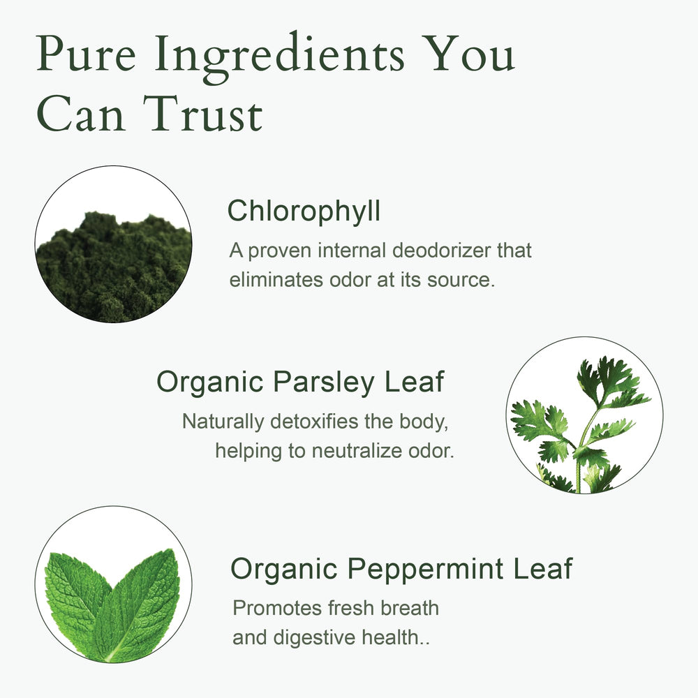 Organic peppermint ingredient from It Just Works for a fresh aroma
