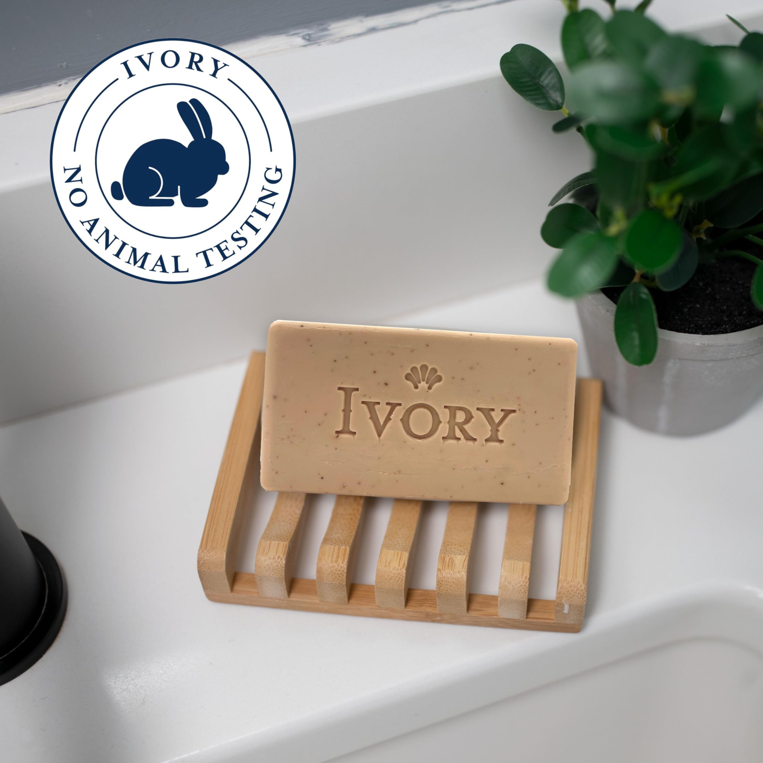 Ivory Exfoliating Bar releases warm vanilla and oat milk aroma.