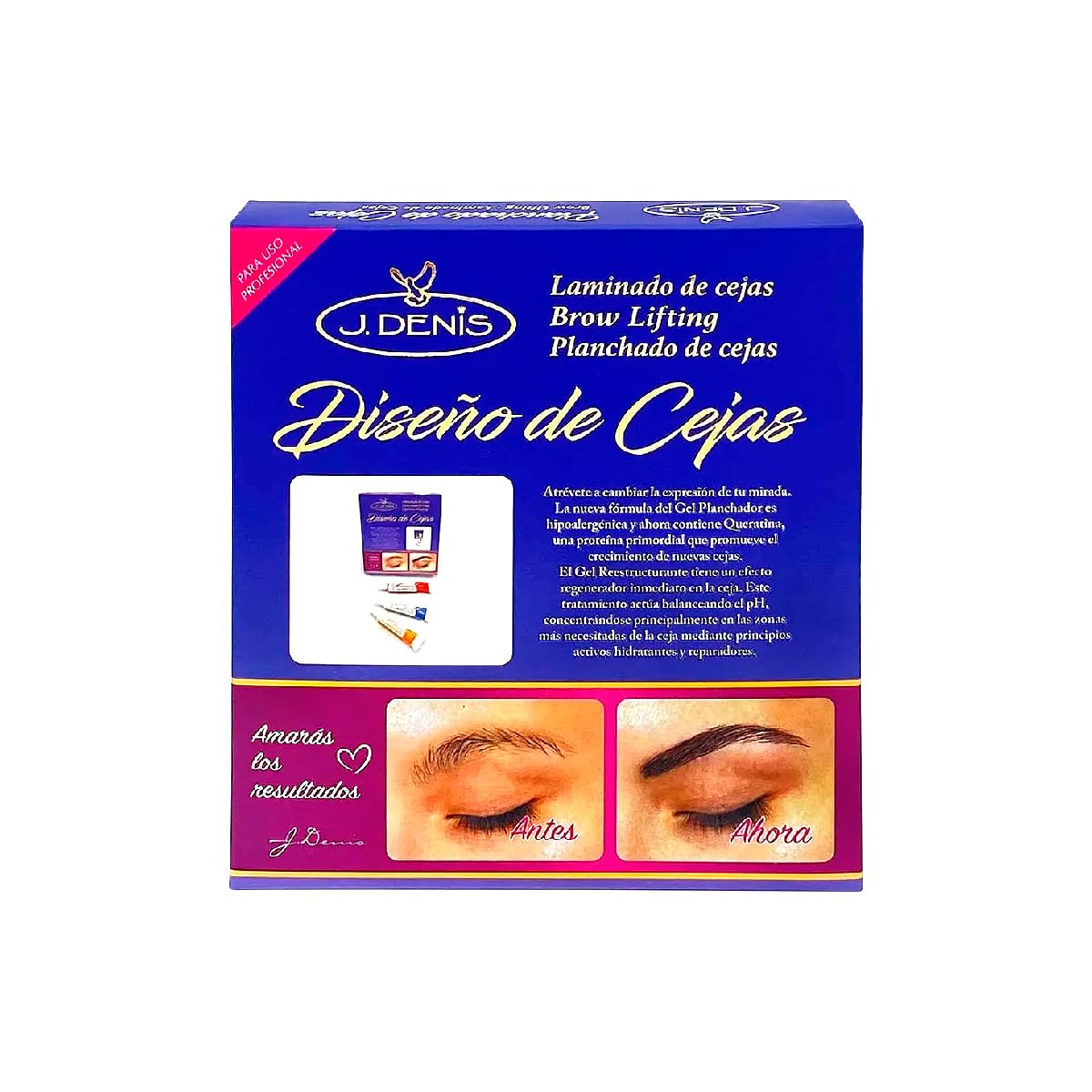 J. Denis Kit Diseño De Cejas: conjunto profesional para resultados consistentes en salón.