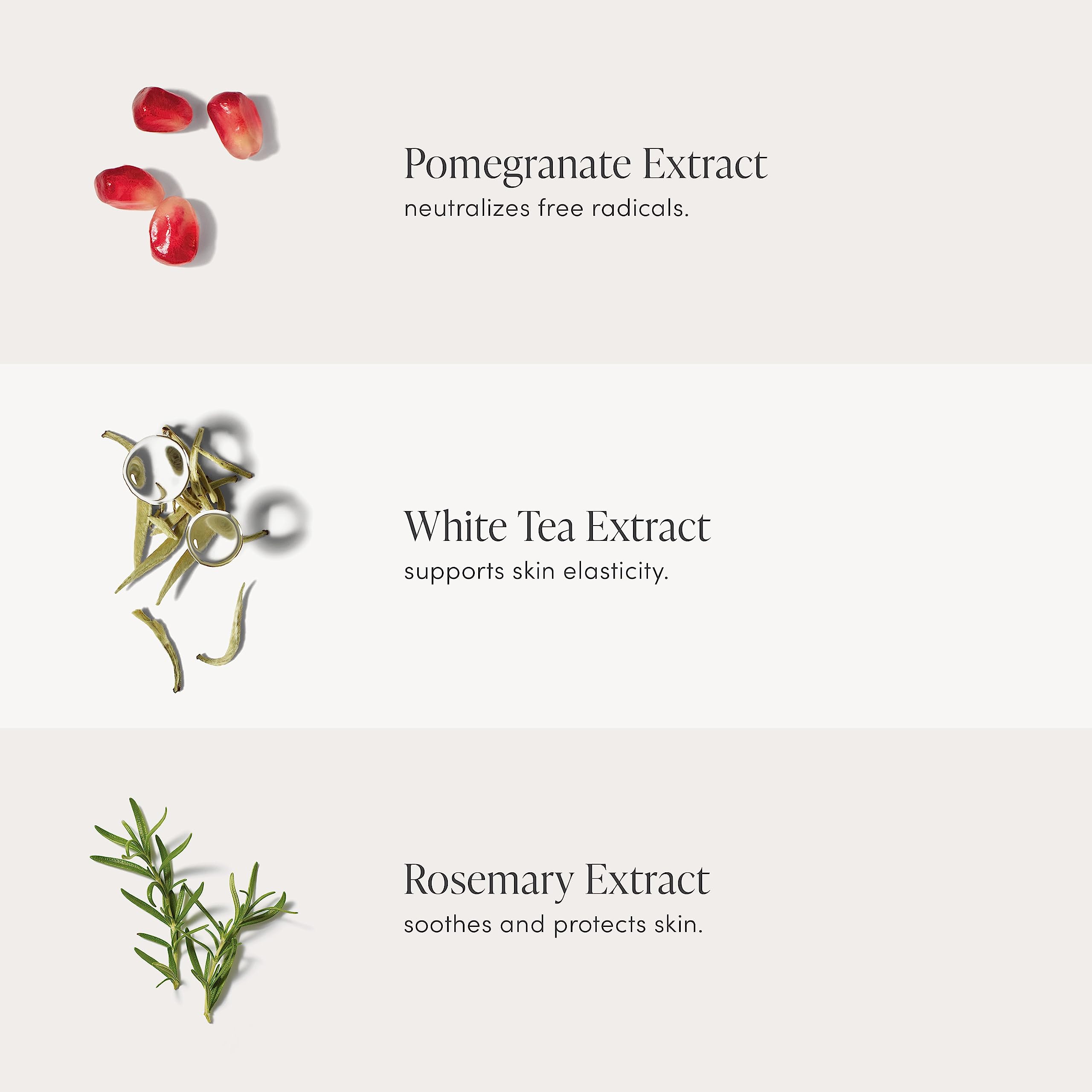 Jane Iredale Pommisst rosemary extract icon suggests calming protection for skin.