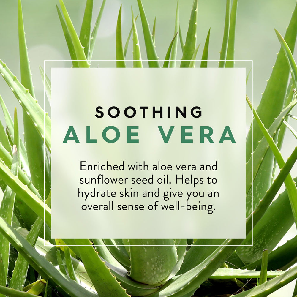 JASON Aloe Vera Shower Gel with vitamin E close-up for nourishment.
