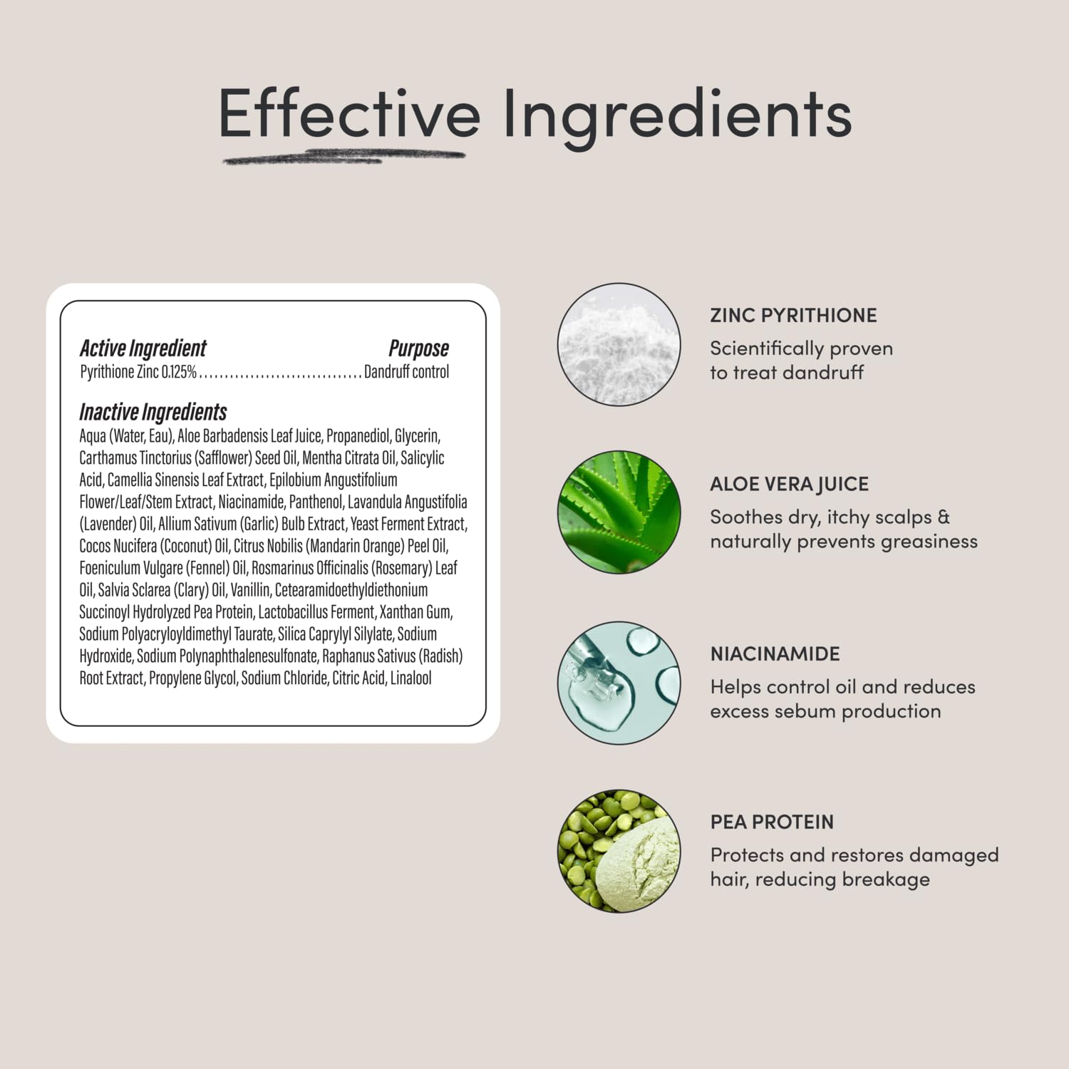 Aloe vera and niacinamide ingredients support soothing hydration and barrier health for the scalp.