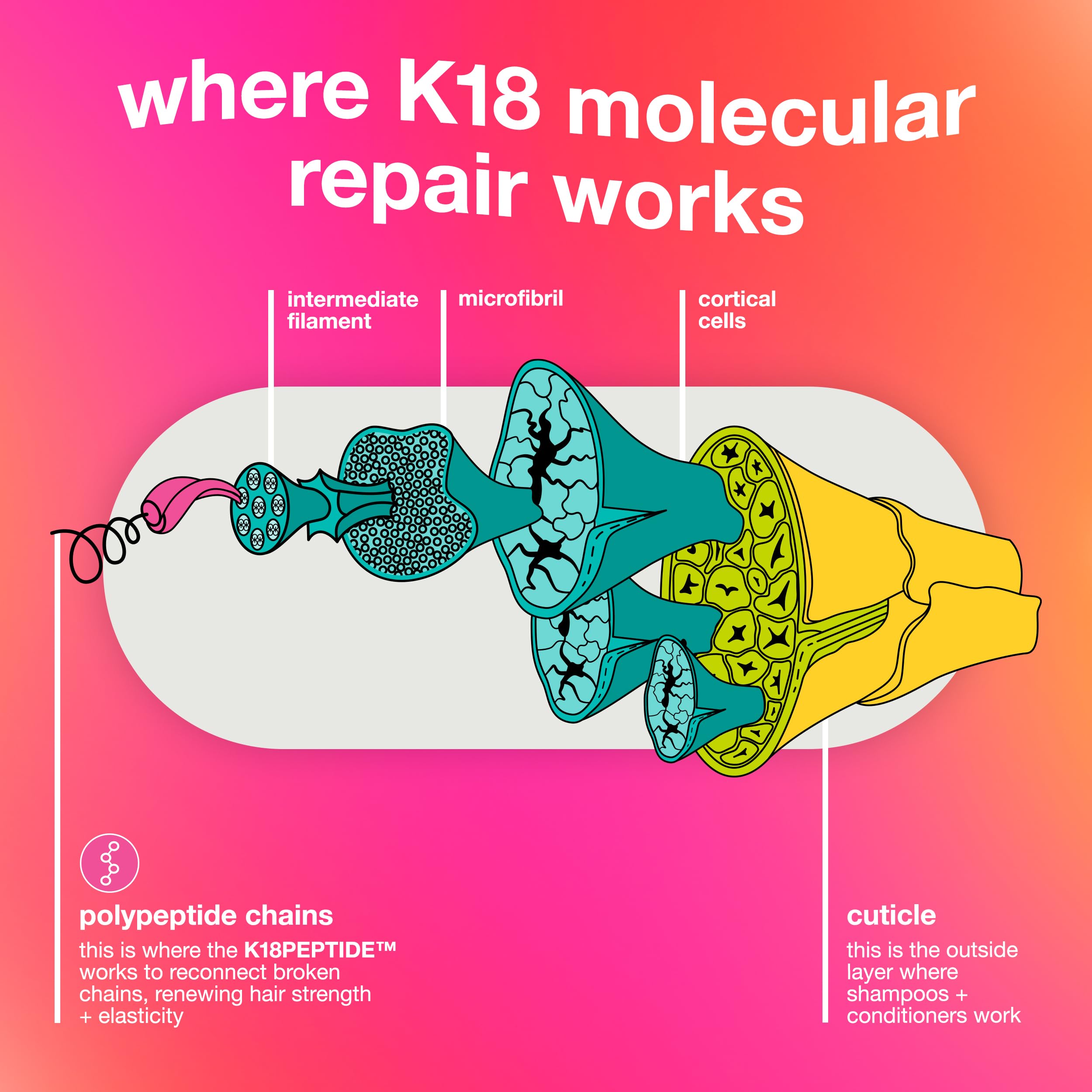 K18 restores elasticity for frizzy or brittle strands.