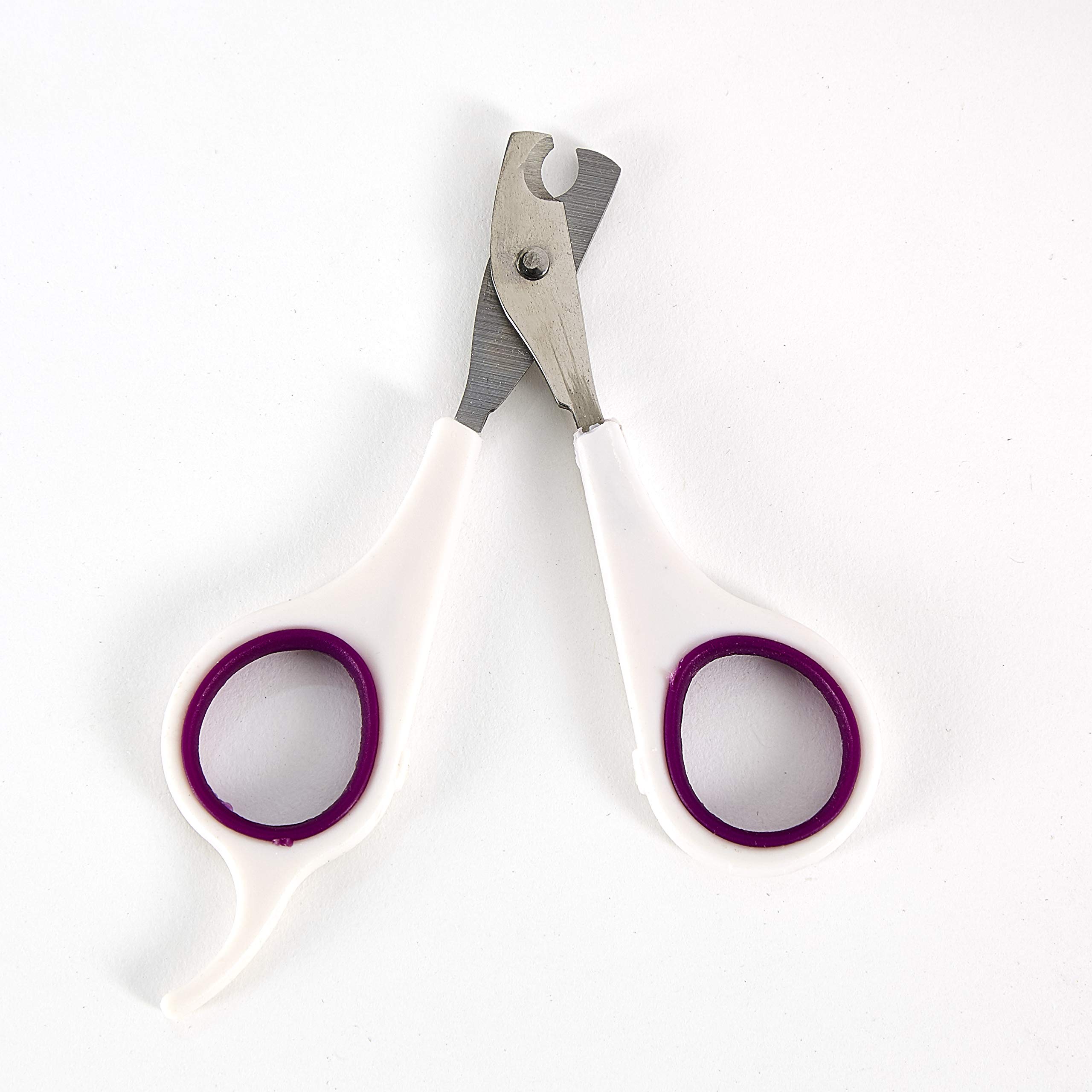 Kaytee Pro-Nail Trimmer Purple blade close-up highlights clean trims.