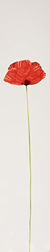 Kenzo Flower By Kenzo amber floral profile for refinement
