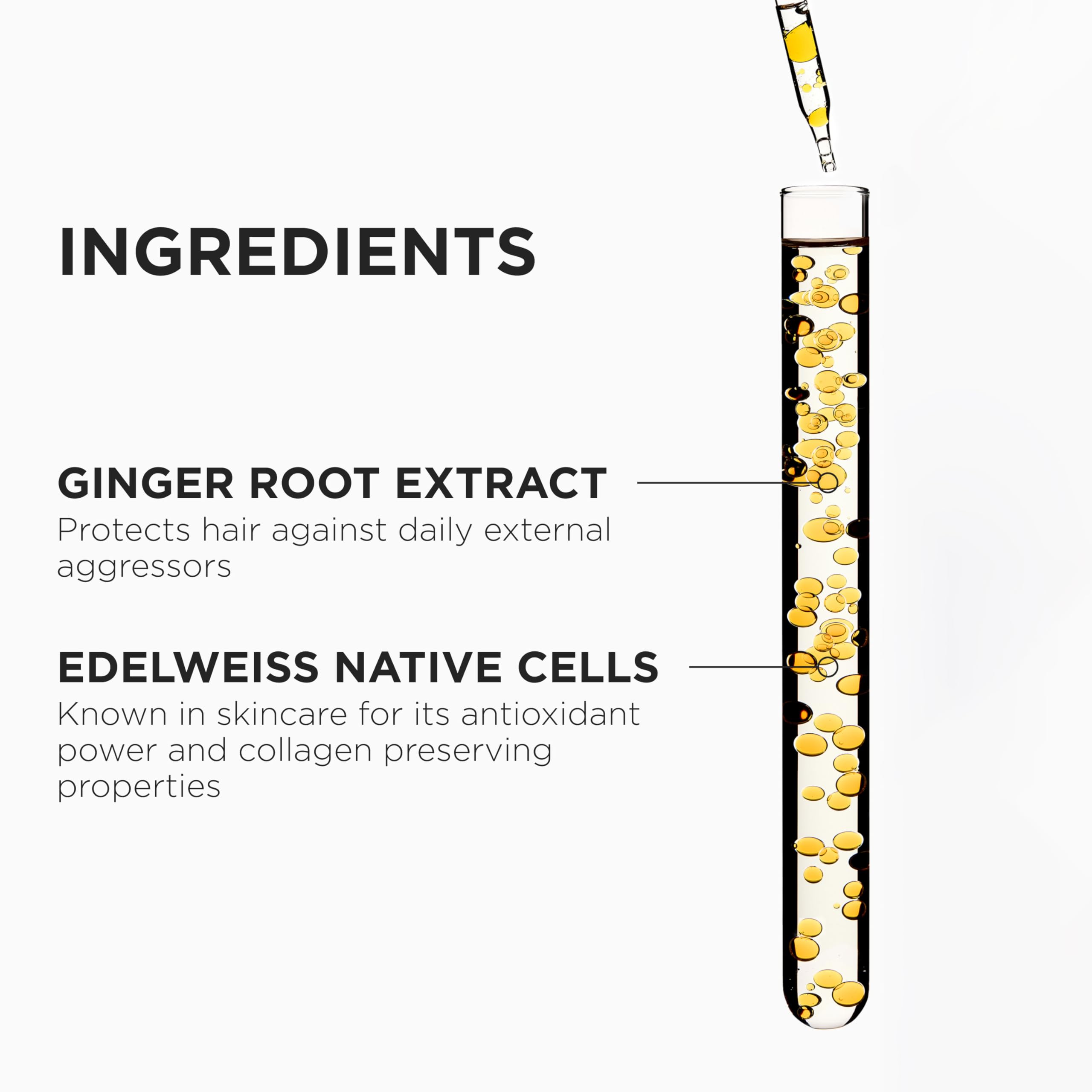 Kérastase Genesis ginger root ingredient visual for added strength.