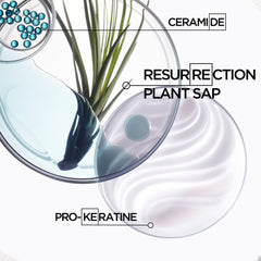 Kerastase Resistance Force Architecte ceramides enhance shine and elasticity