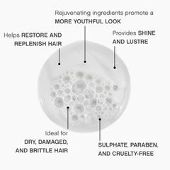KEVIN.MURPHY Young.Again.Wash product detail emphasizes sulphate and paraben free formula