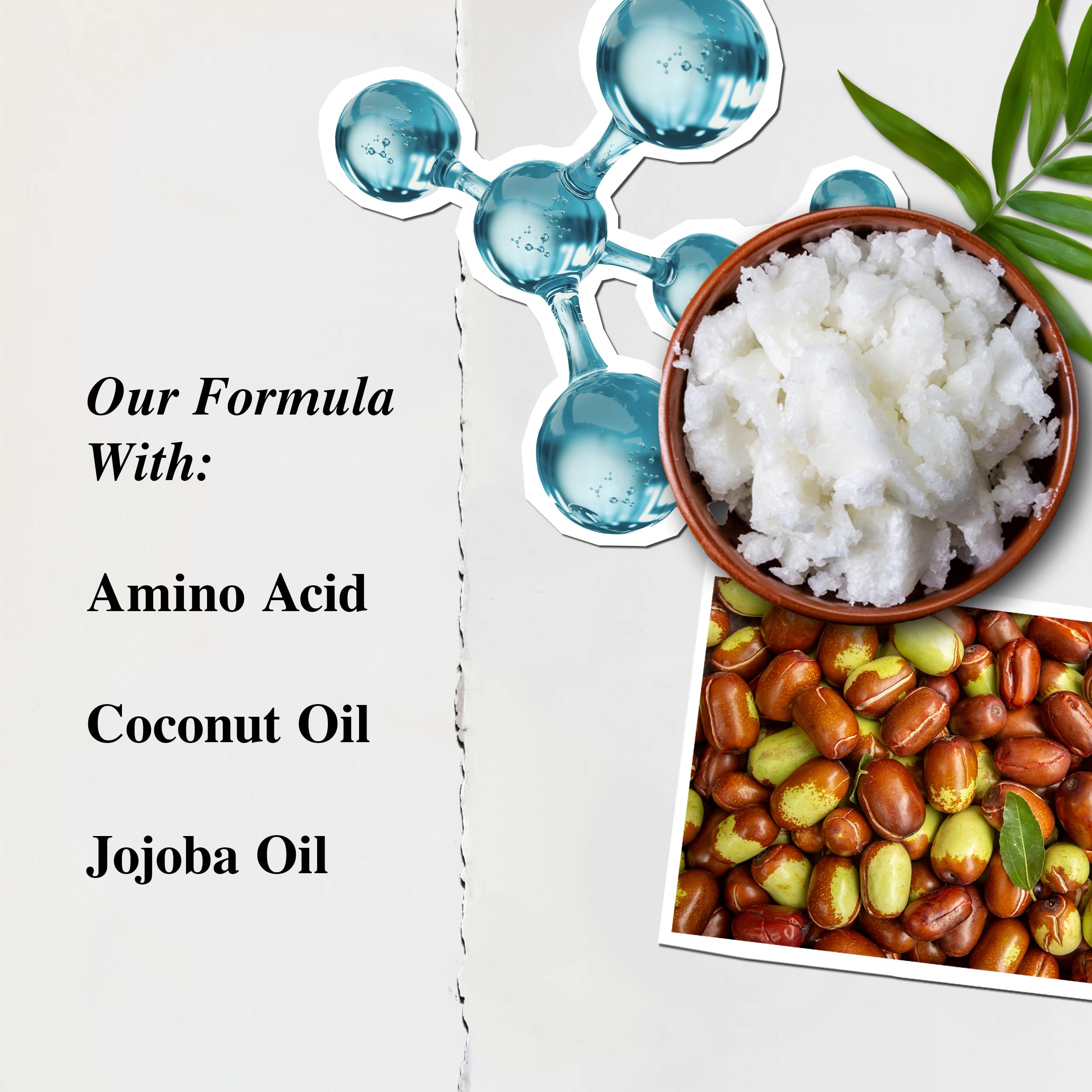 Kiehl's Amino Acid Conditioner jojoba oil highlight, softness for easier combing.