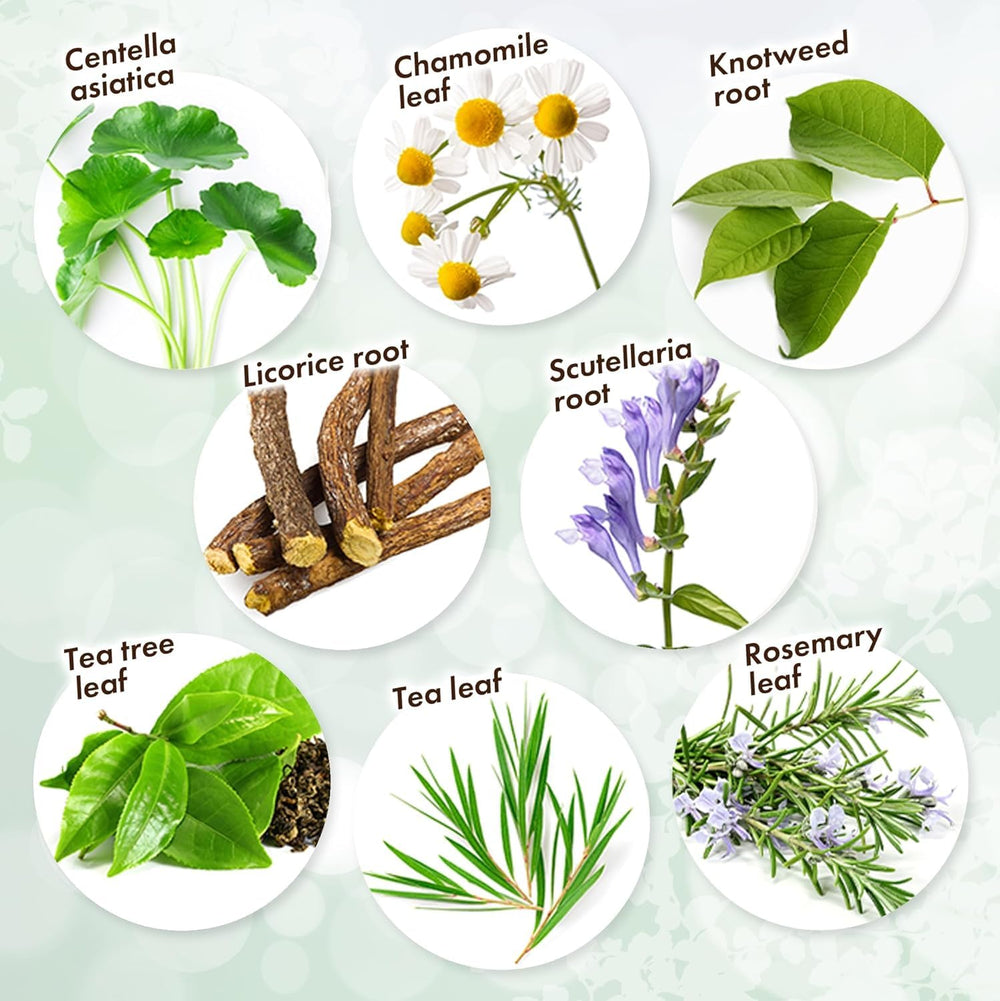 KisoCare Centella asiatica extract soothing herbal support for daily care.
