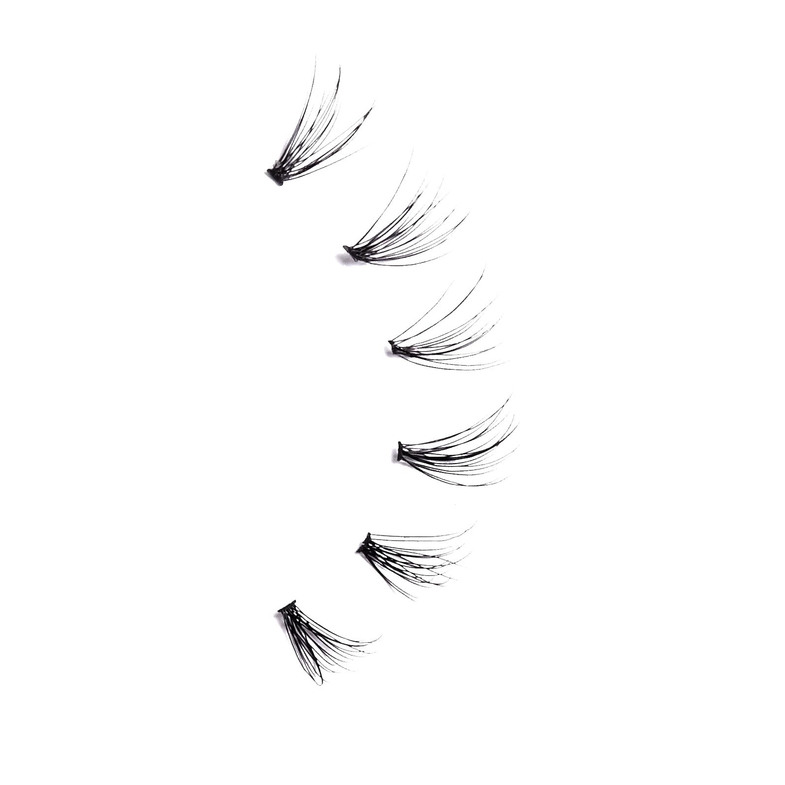 KISS Lash Couture Venus salon-look results at home routine.