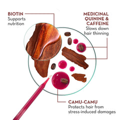 Klorane serum with Camu-Camu and Biotin supports nourishment for thinning areas.