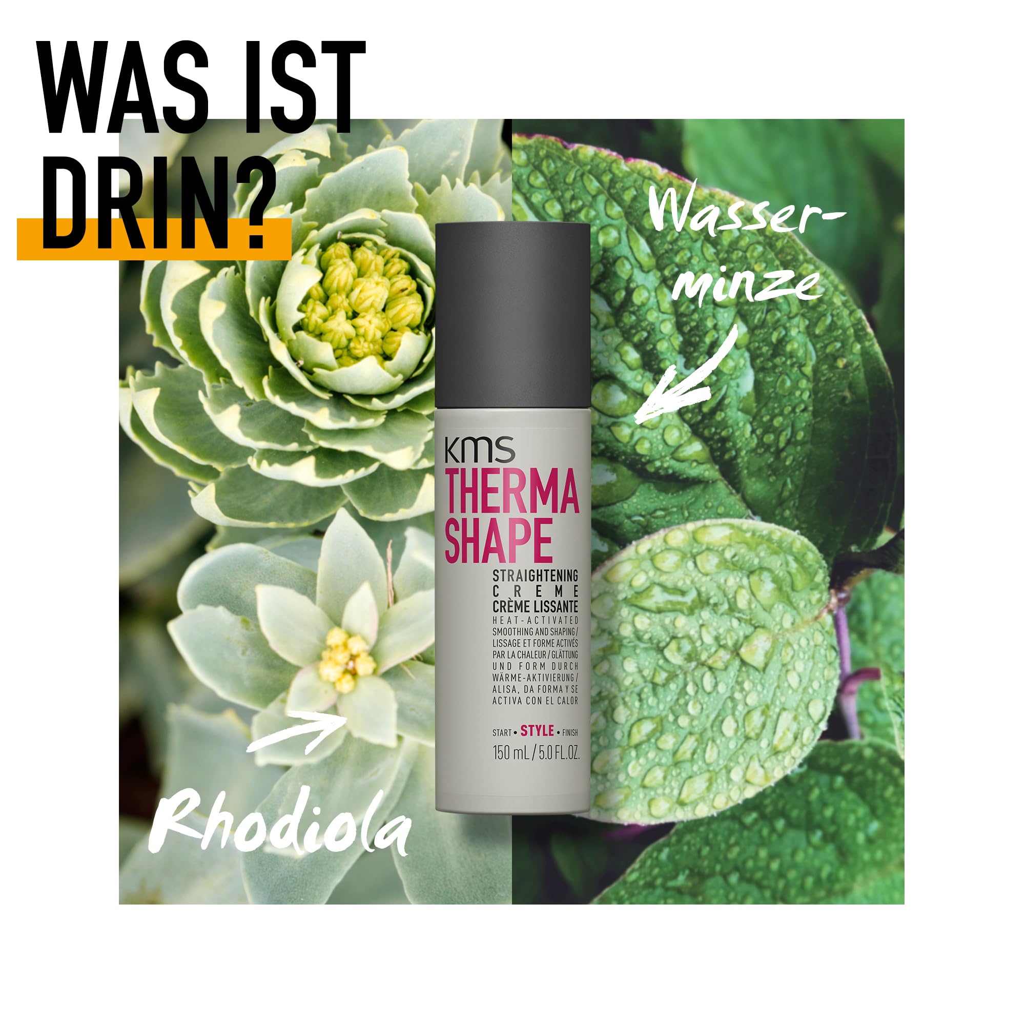 KMS Thermashape round brush use shows tension-blow-dry prep for longer-lasting results.