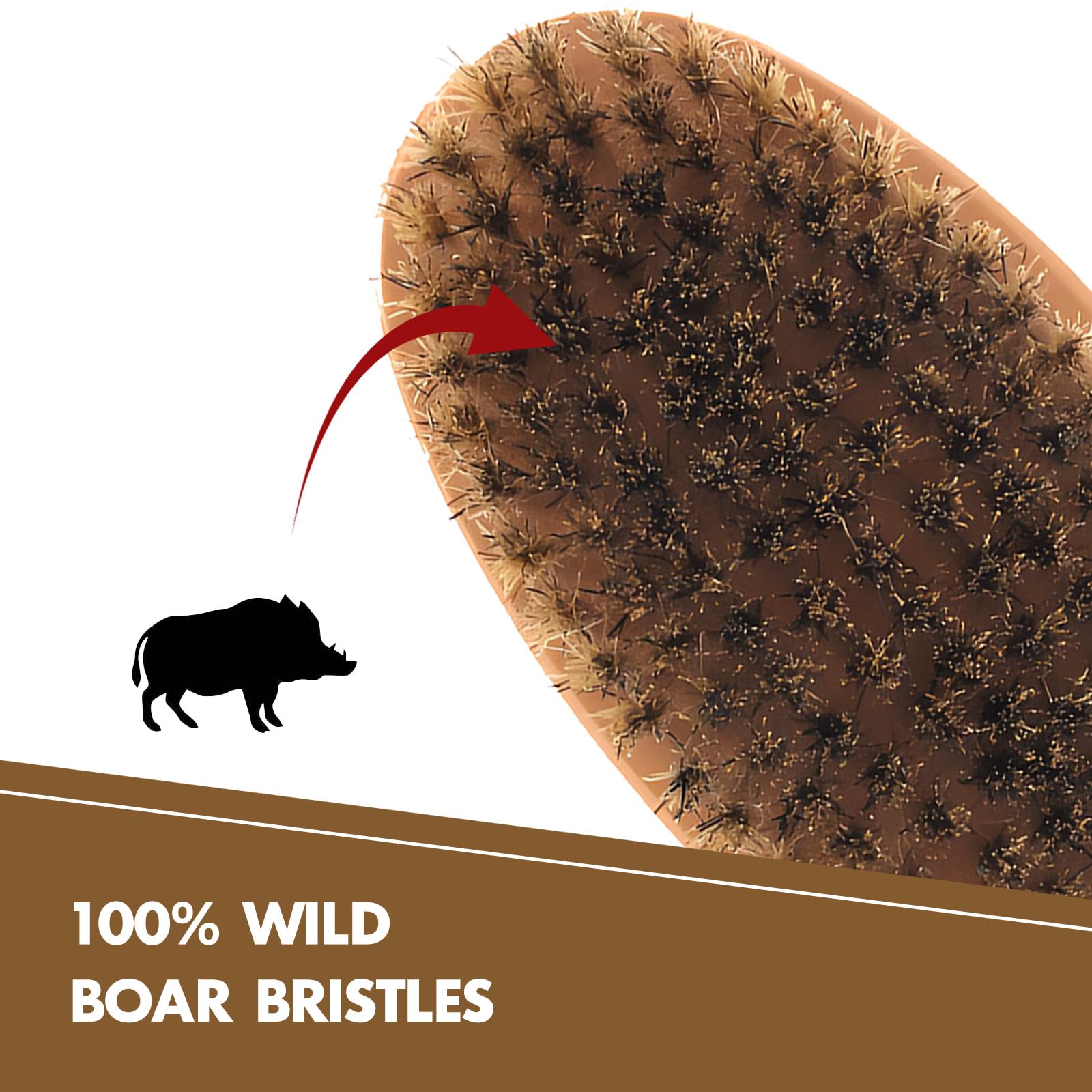 Kootinn beard brush showing static-free bristles for smooth grooming