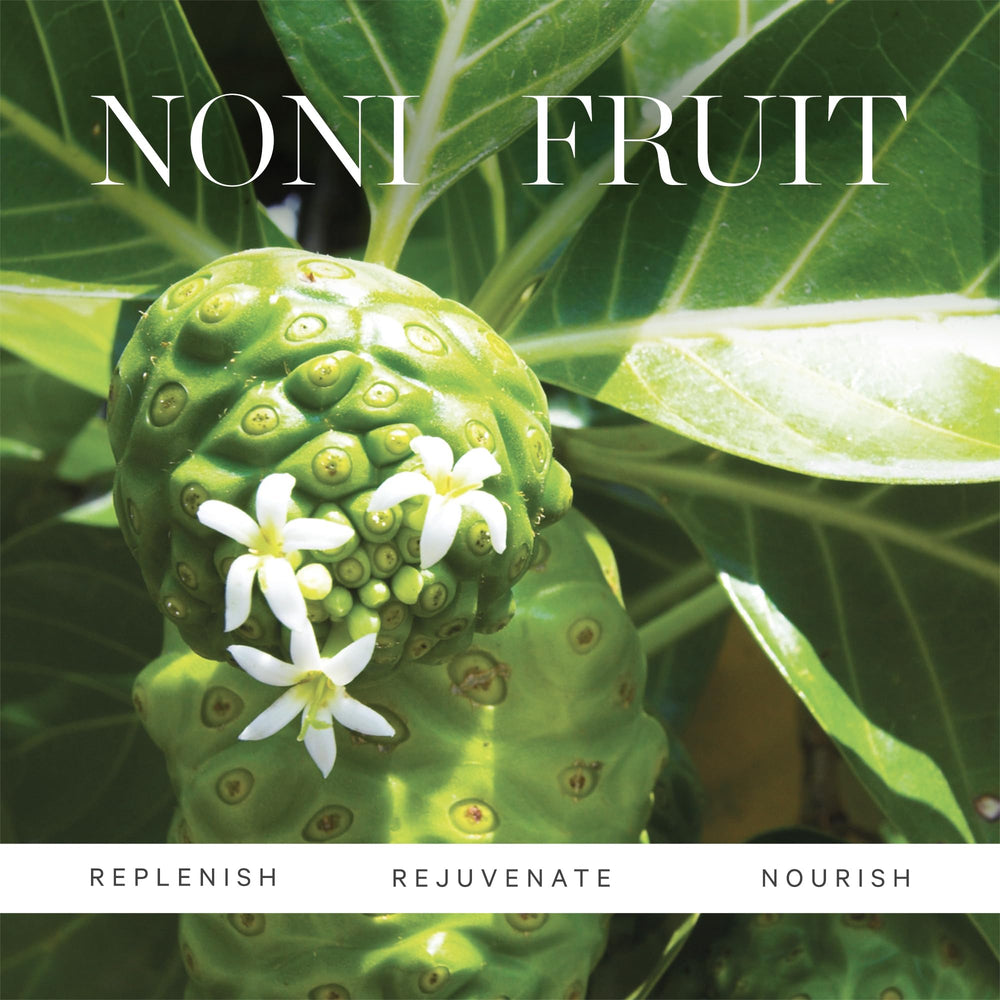 Sea buckthorn oil adds antioxidants to KORA Organics Noni Glow.