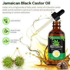 KPNEMA castor oil application on scalp highlighting nourishment and shine for hair