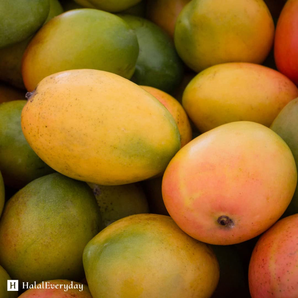 Kyabo Mango Butter lotion-diy use, ideal base for creams.