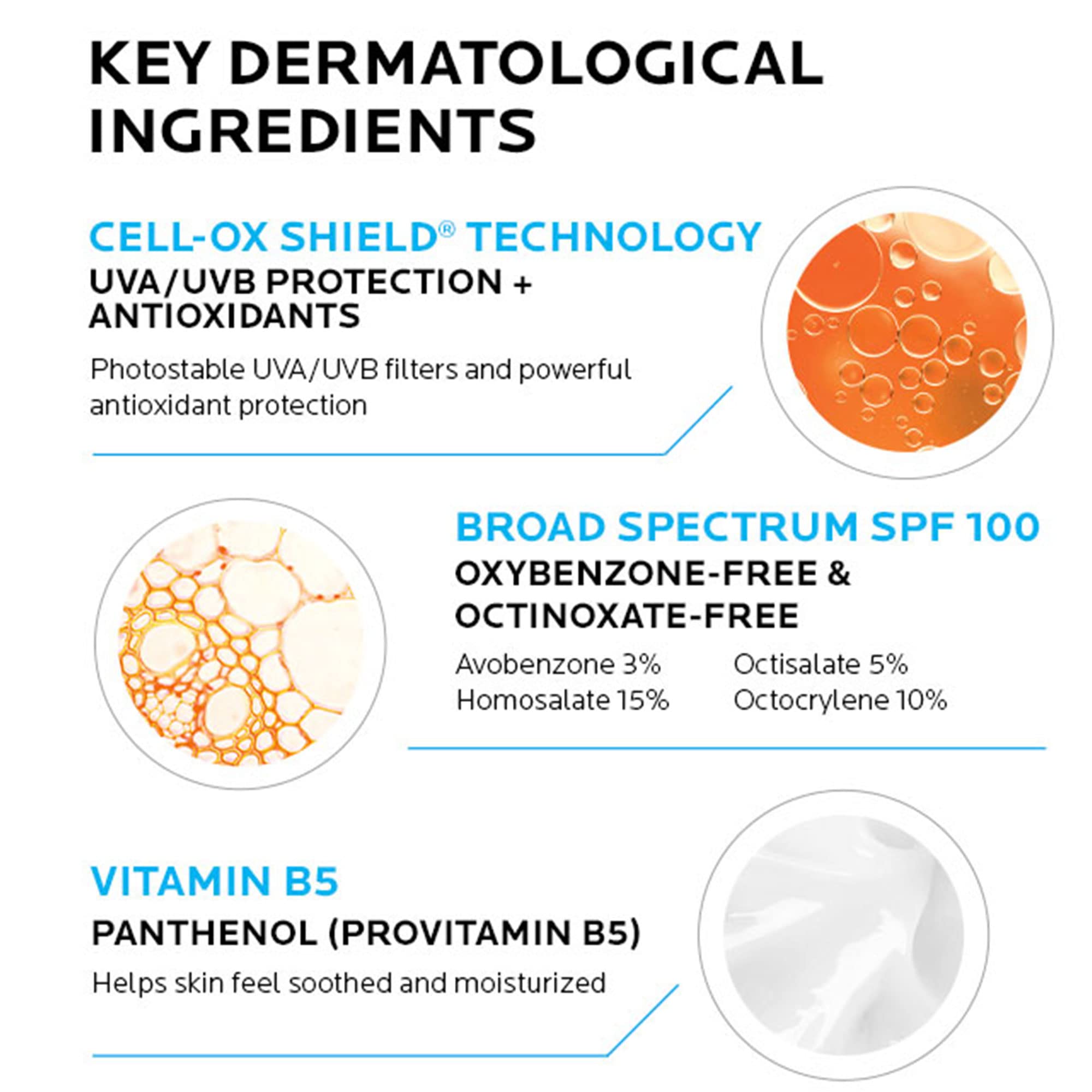 Fragrance-free and oil-free formula visible on skin with no white cast.