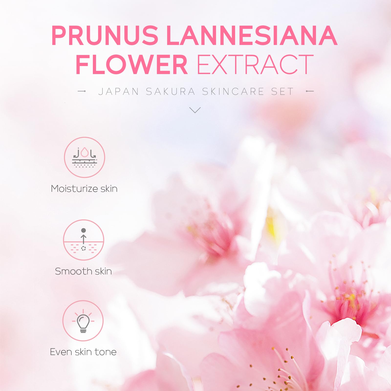LAIKOU Sakura tonico: equilibrio para una piel lista para la hidratación