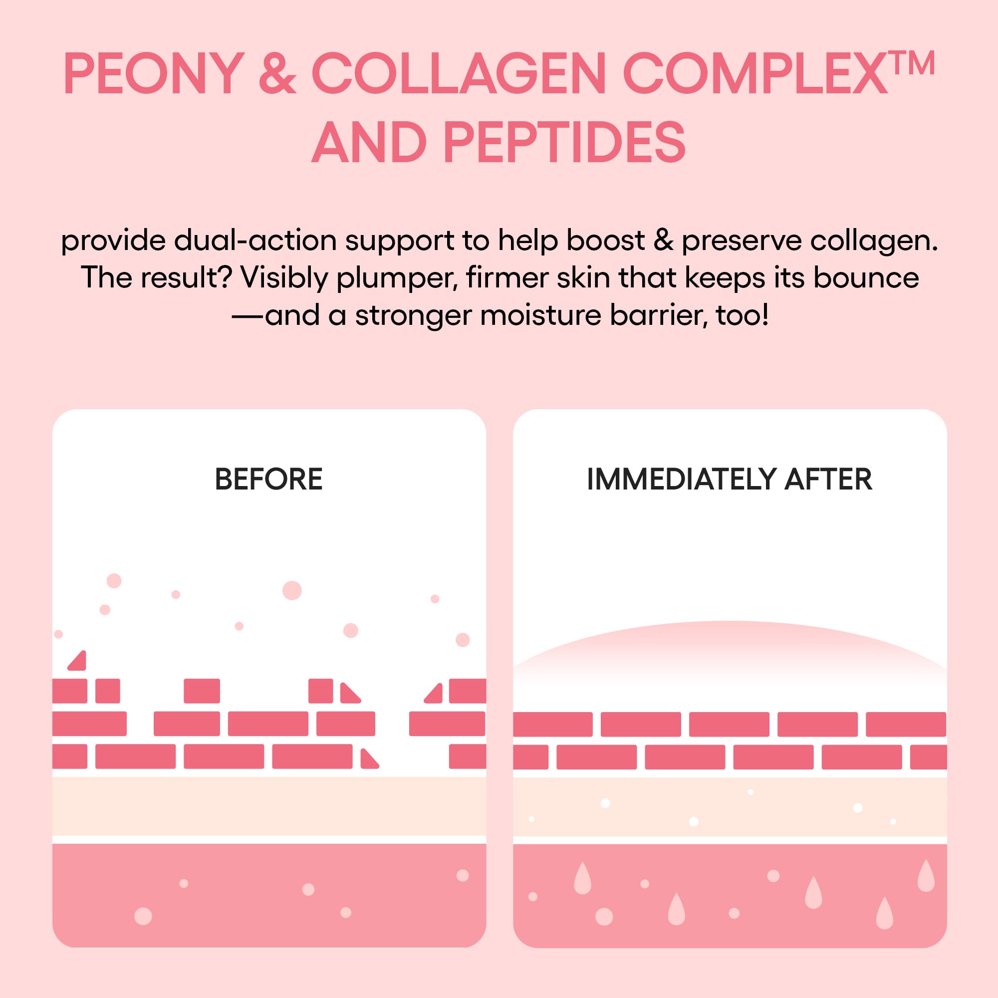 LANEIGE Paraben-free label closeup emphasizing clean formula.